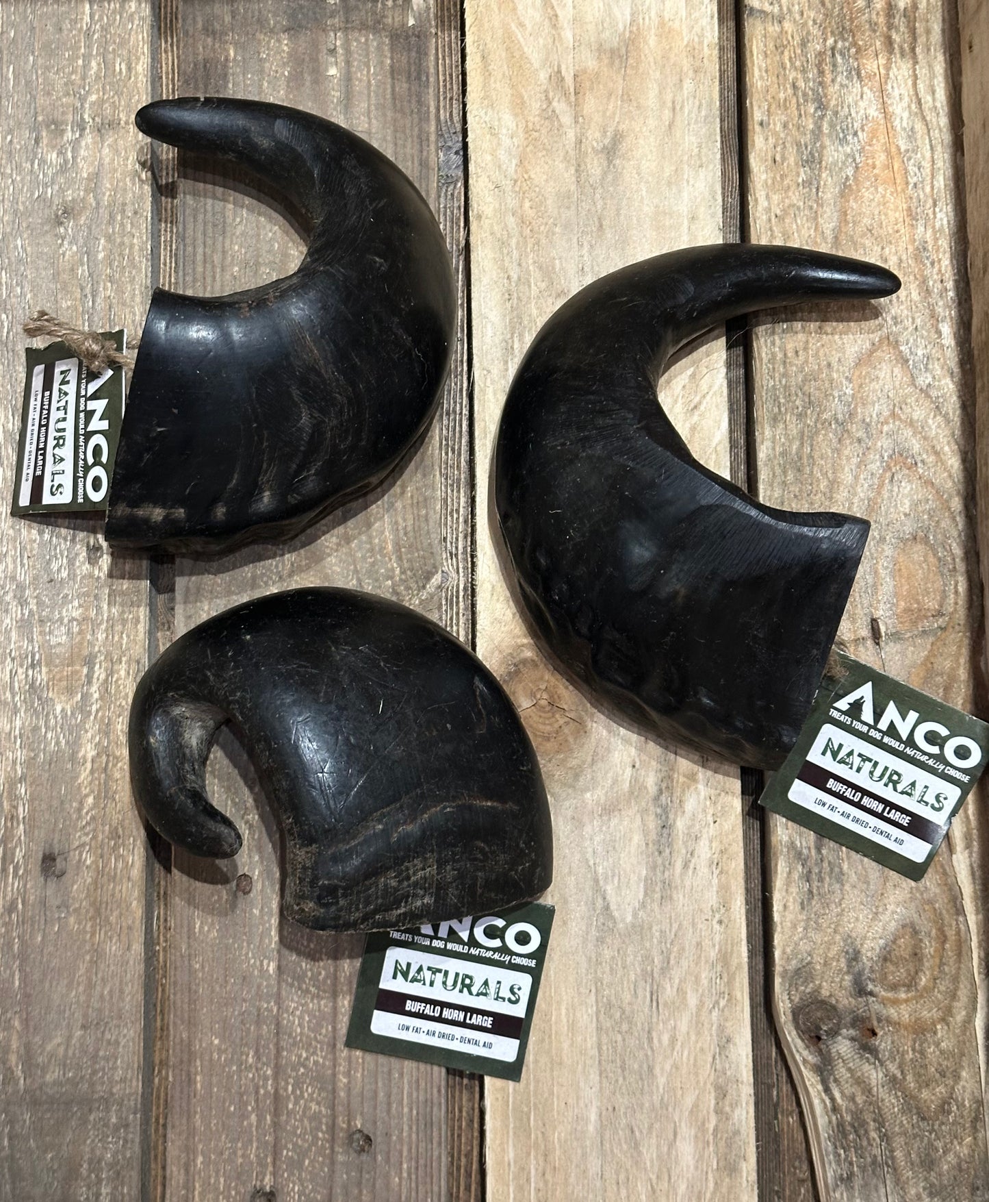 Buffalo Horn