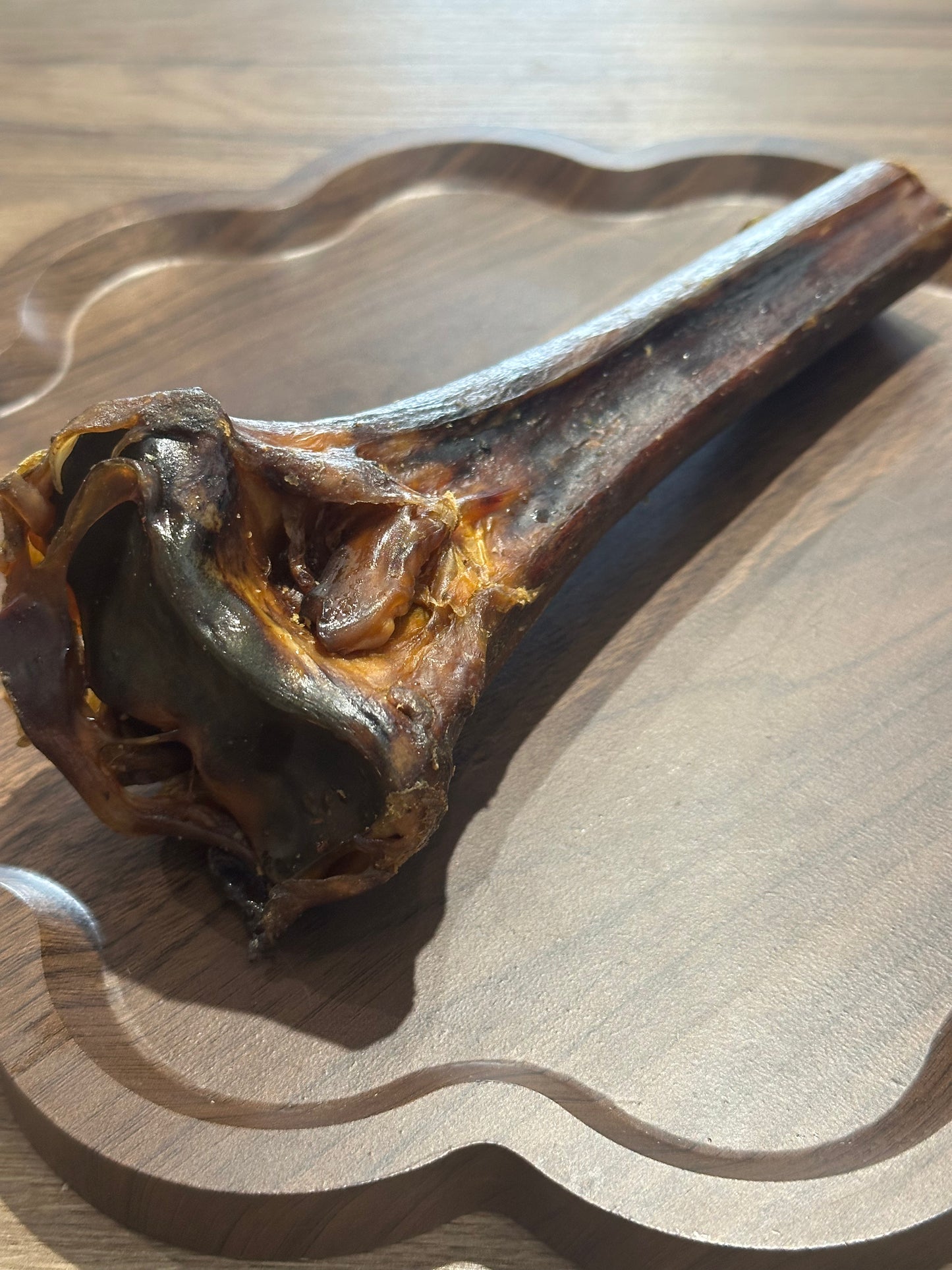 Ostrich Metatarsus Bone