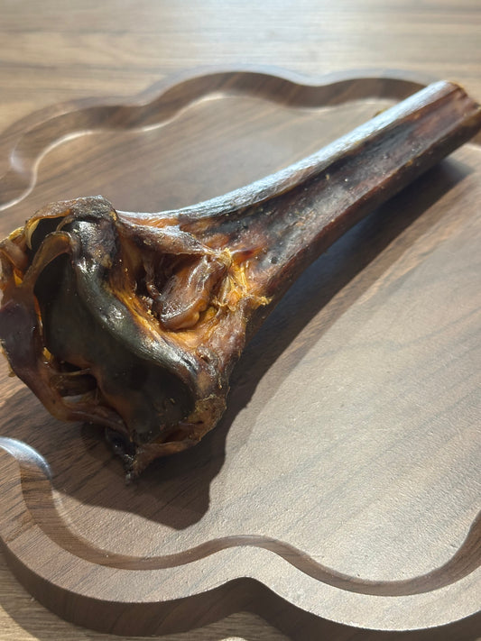 Ostrich Metatarsus Bone