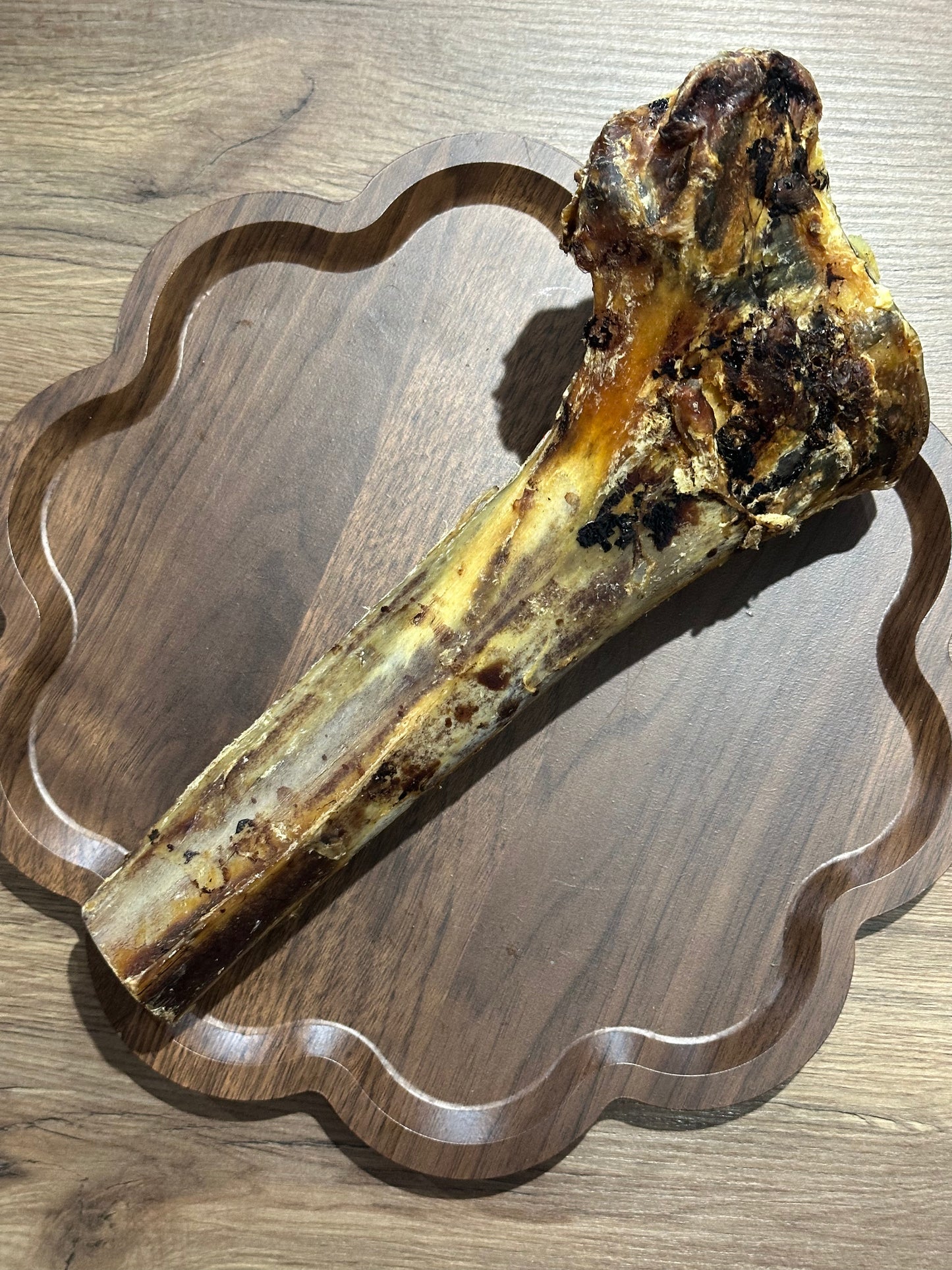 Ostrich Tibia Bone