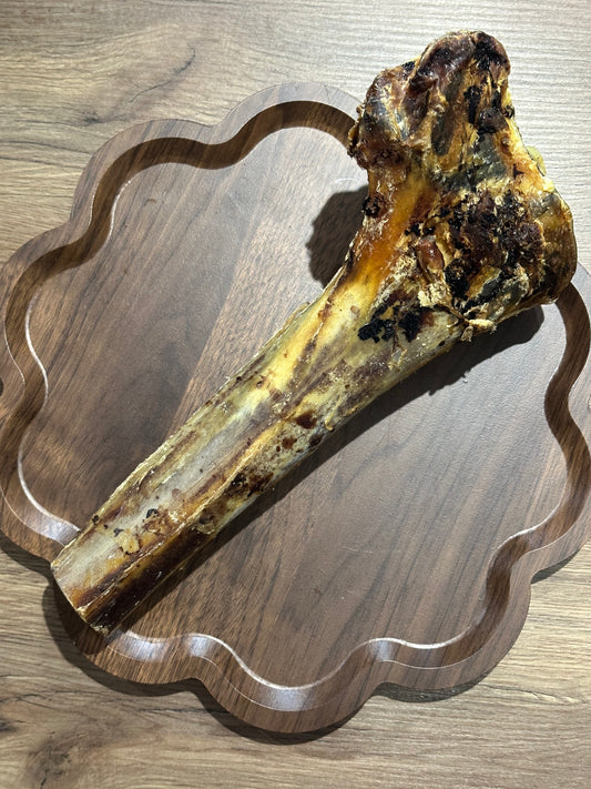 Ostrich Tibia Bone