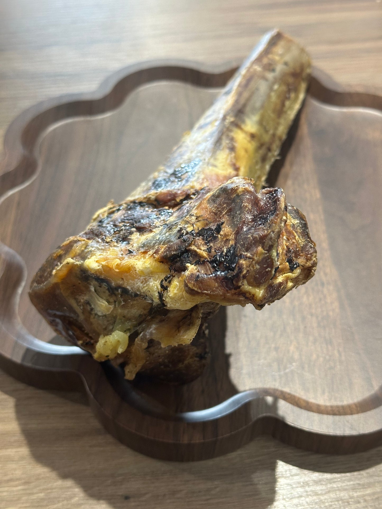 Ostrich Tibia Bone