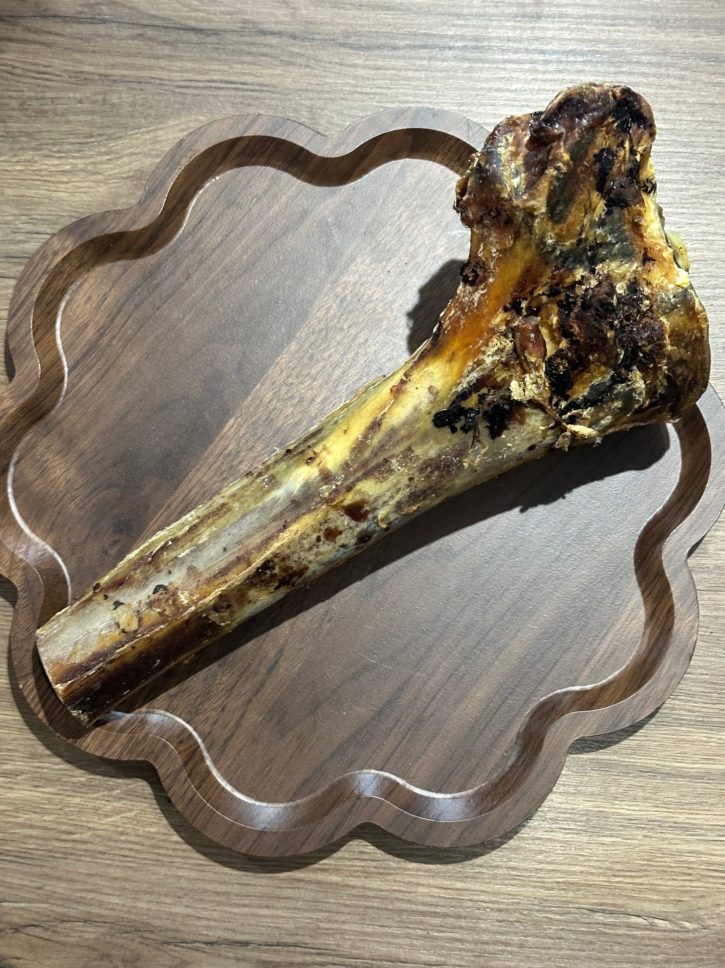 Ostrich Tibia Bone