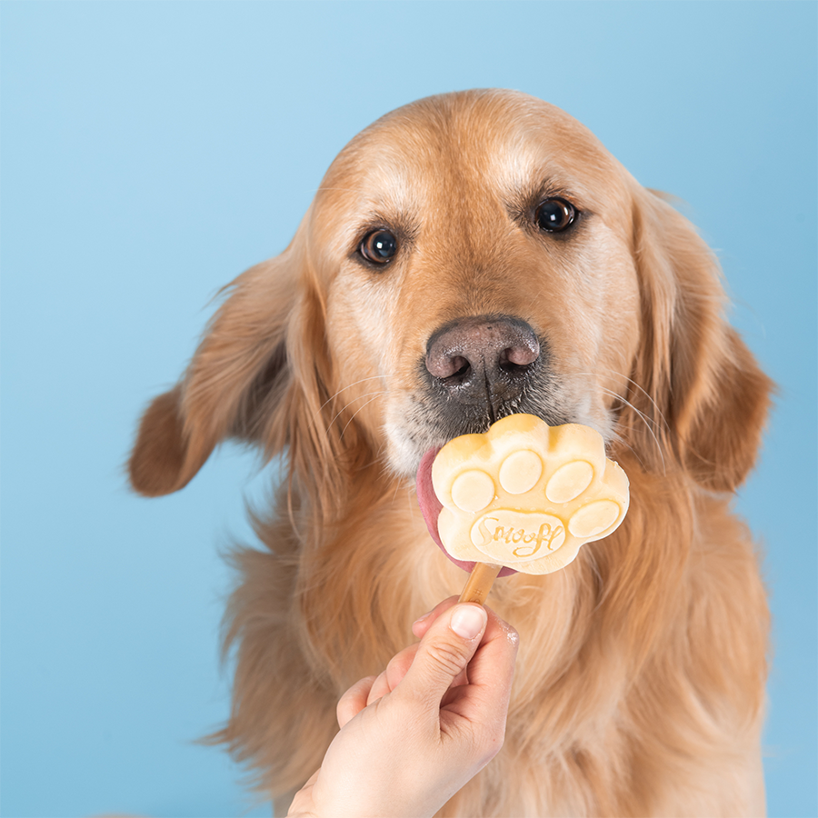 Peanut Butter Dog Ice Cream Mix