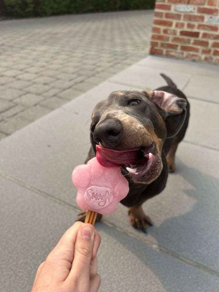 Strawberry Dog Ice Cream Mix