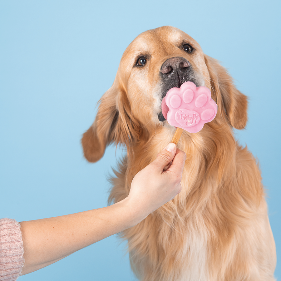 Strawberry Dog Ice Cream Mix