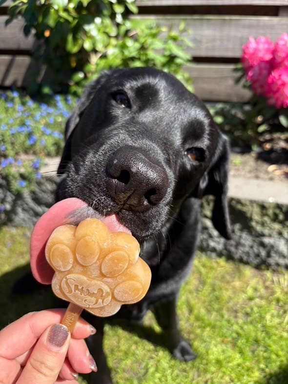Peanut Butter Dog Ice Cream Mix