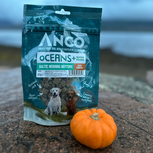 Baltic Herring Buttons with Pumpkin