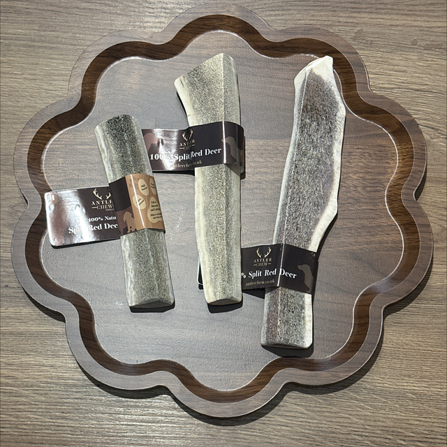 Split Red Deer Antler