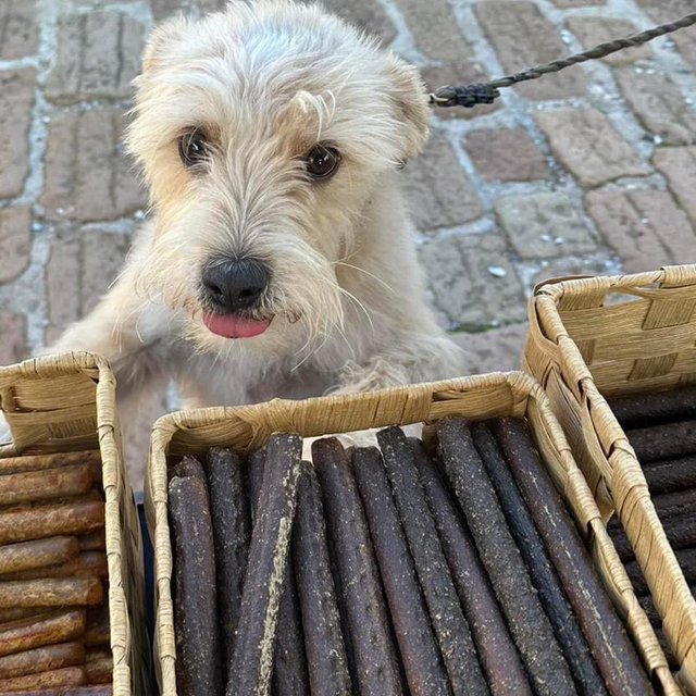 Chicken and Cheese Sticks