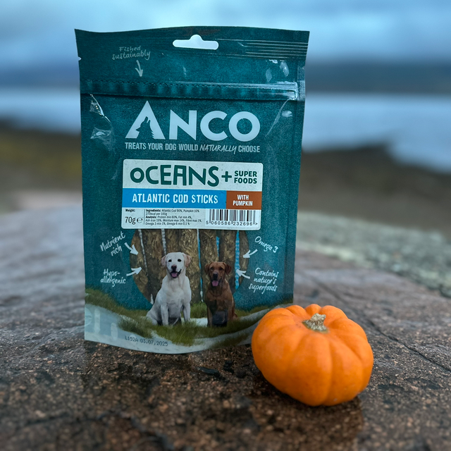 Atlantic Cod Sticks with Pumpkin